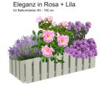 Blumenkasten Rosa + Lila